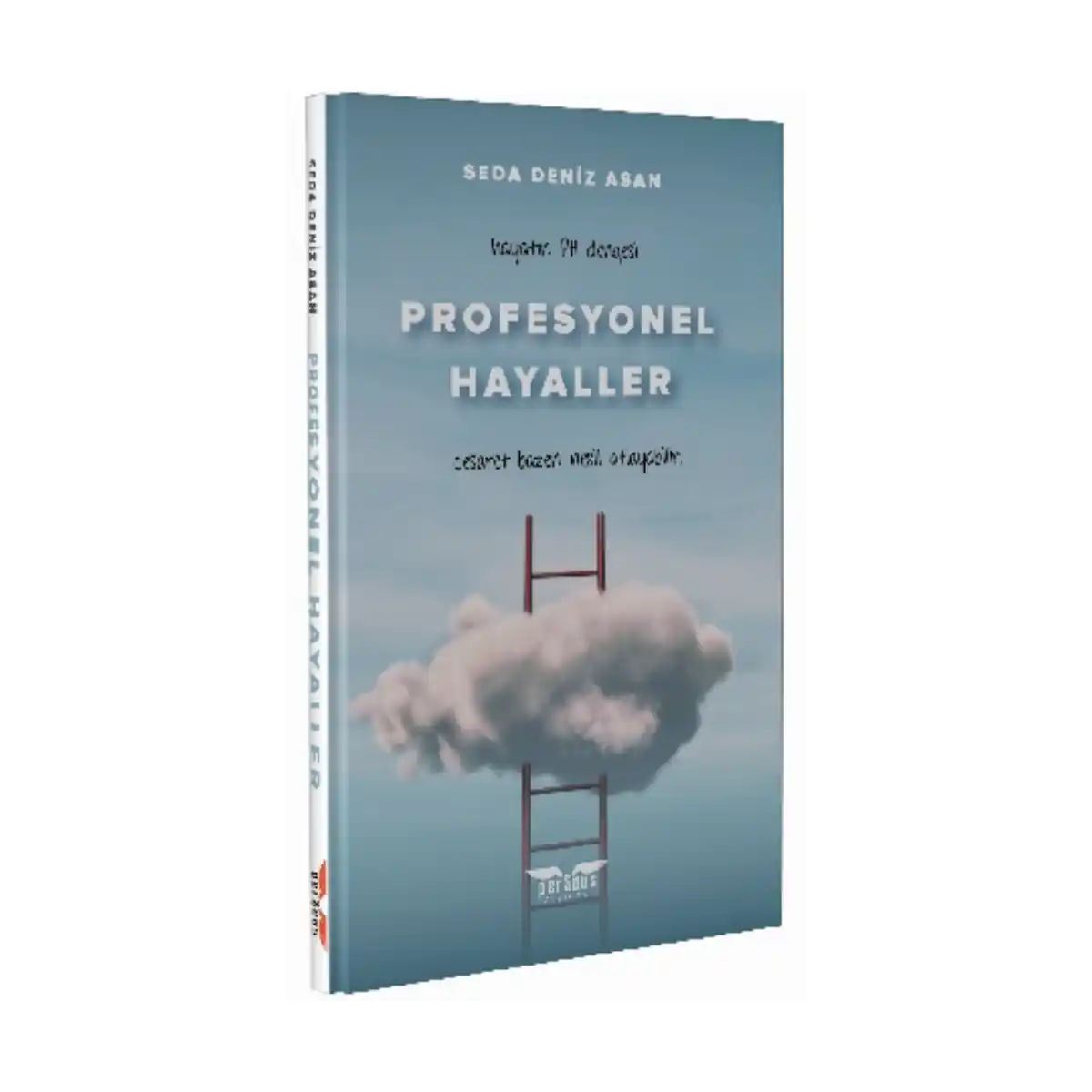 ac1a1-profesyonel-hayaller-1-1.webp Profesyonel Hayaller - Görsel 1