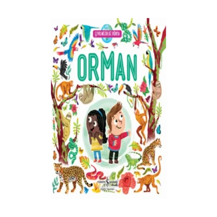 Çevremizdeki Dünya Orman