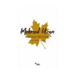 Bir Romanın Hatıra Defteri