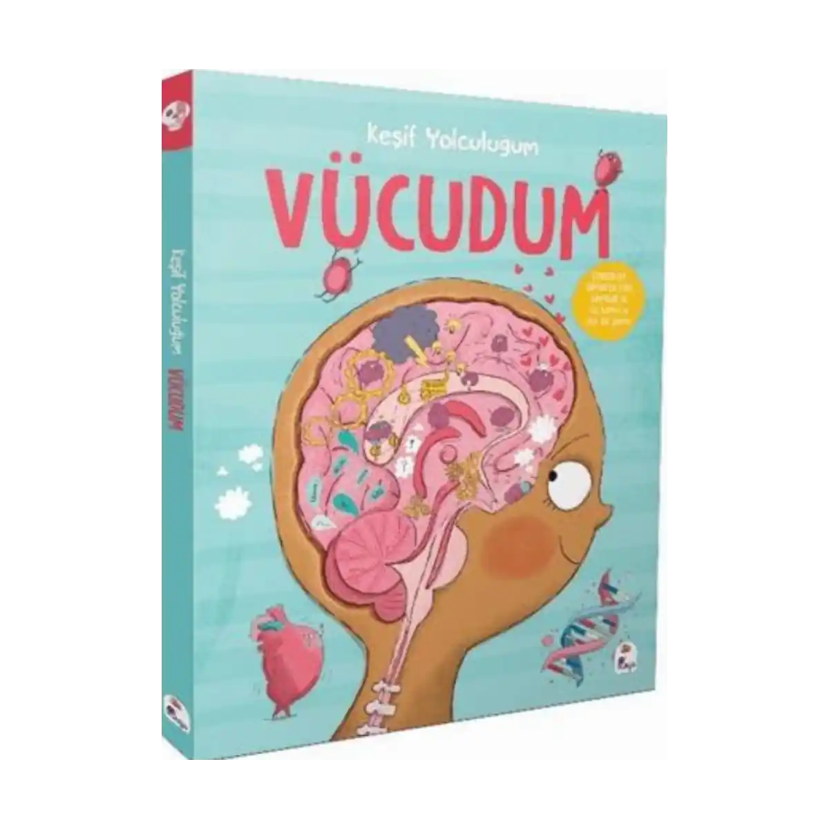 aef53-kesif-yolculugum-vucudum-1-1.webp Keşif Yolculuğum - Vücudum - Görsel 1