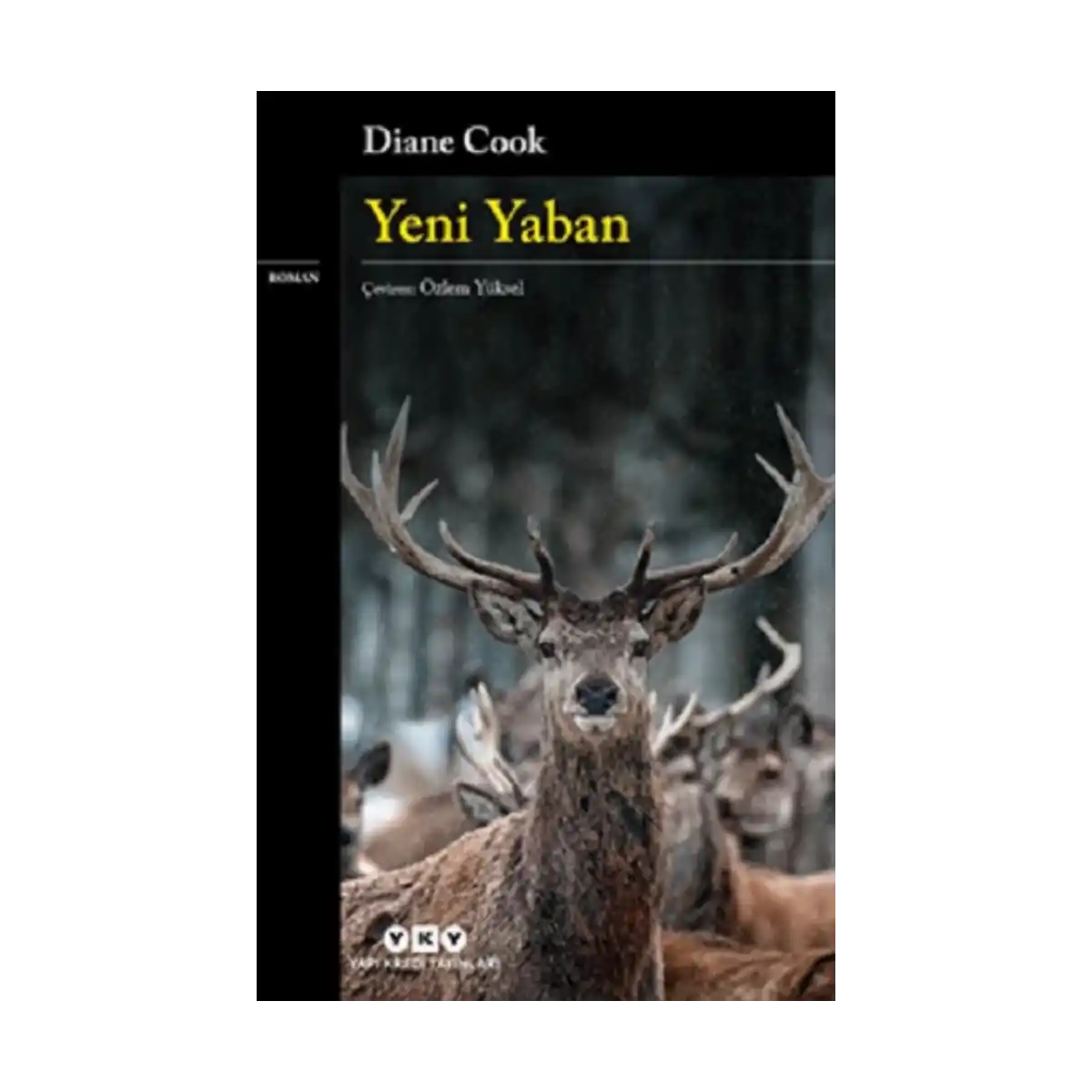 af106-yeni-yaban-1-1.webp Yeni Yaban - Görsel 1