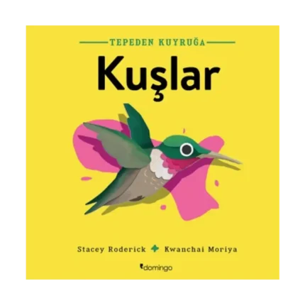 Kuşlar- Tepeden Kuyruğa