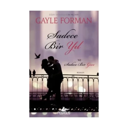 Sadece Bir Yıl ve Sadece Bir Gece