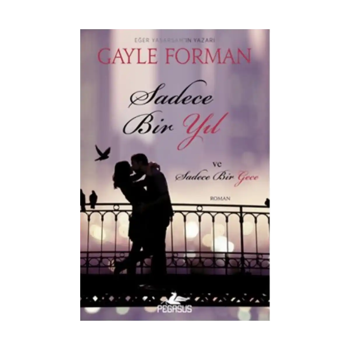 b11e6-sadece-bir-yil-ve-sadece-bir-gece-1-1.webp Sadece Bir Yıl ve Sadece Bir Gece - Görsel 1