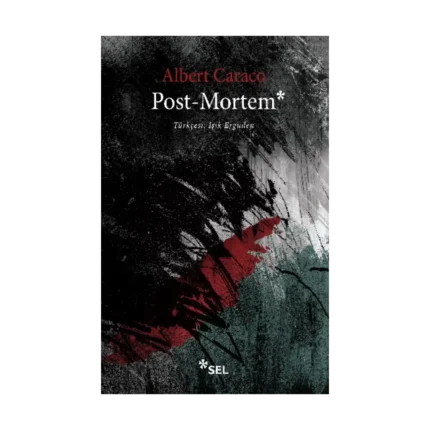 Post-Mortem