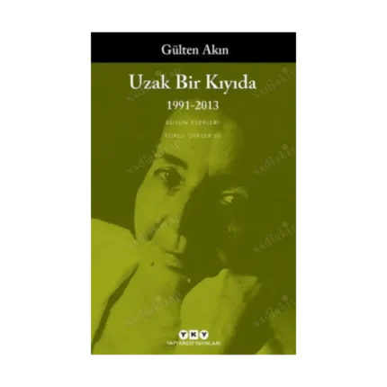 Uzak Bir Kıyıda 1991 - 2013