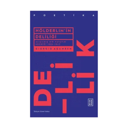Hölderlin'in Deliliği