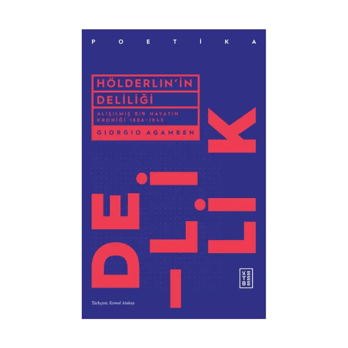 b4fe7-holderlin-in-deliligi-1-1.webp Hölderlin'in Deliliği - Görsel 1