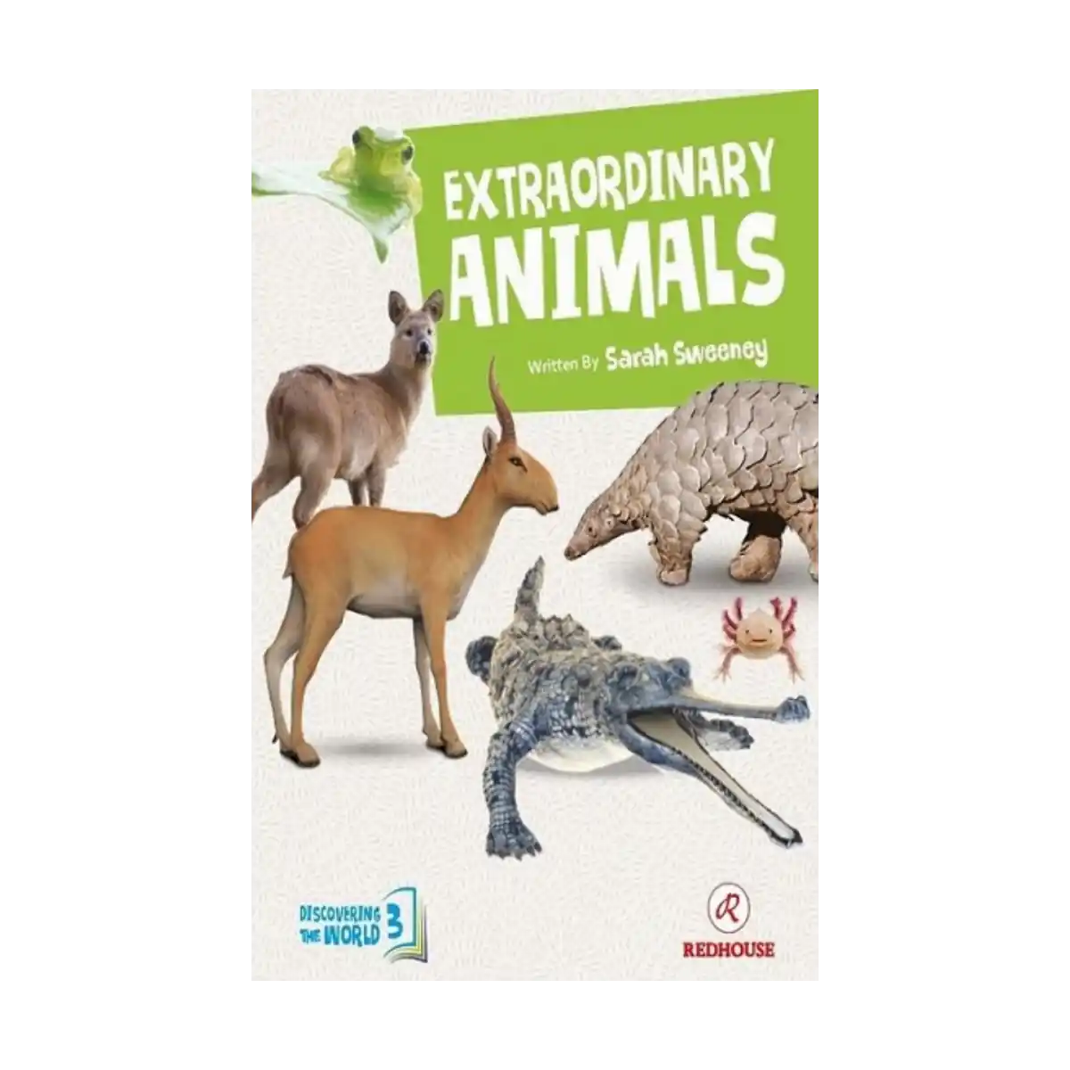 b7fb8-extraordinary-animals-1-1.webp Extraordinary Animals - Görsel 1