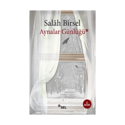 Aynalar Günlüğü
