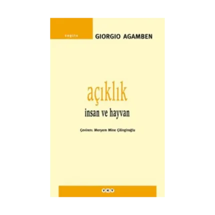 Açıklık