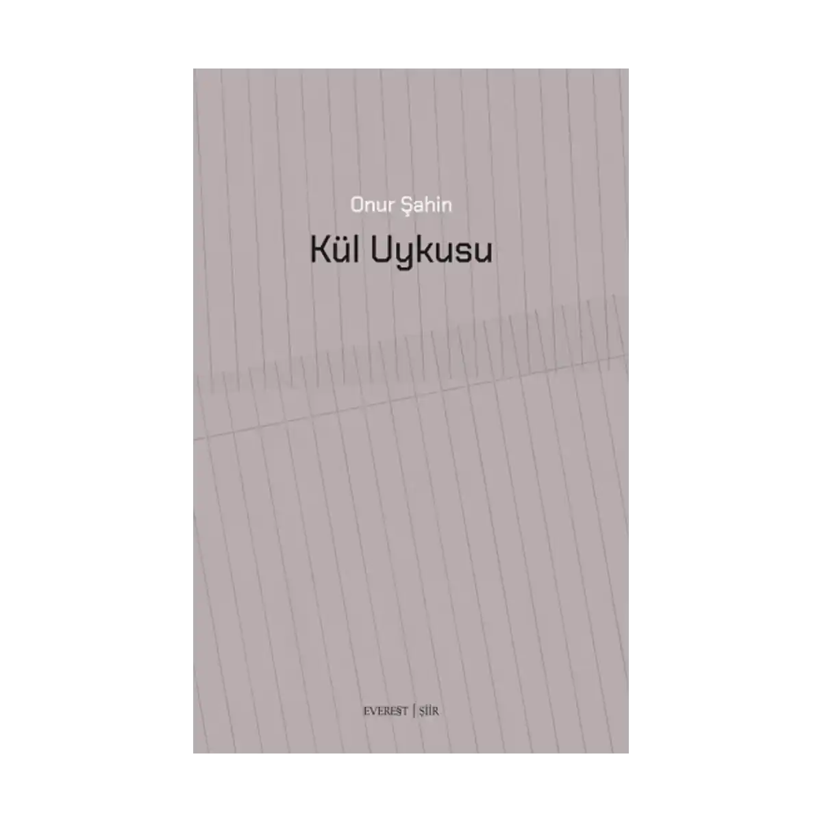 bc798-kul-uykusu-1-1.webp Kül Uykusu - Görsel 1