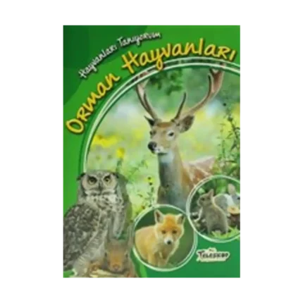 Hayvanları Tanıyorum - Orman Hayvanları