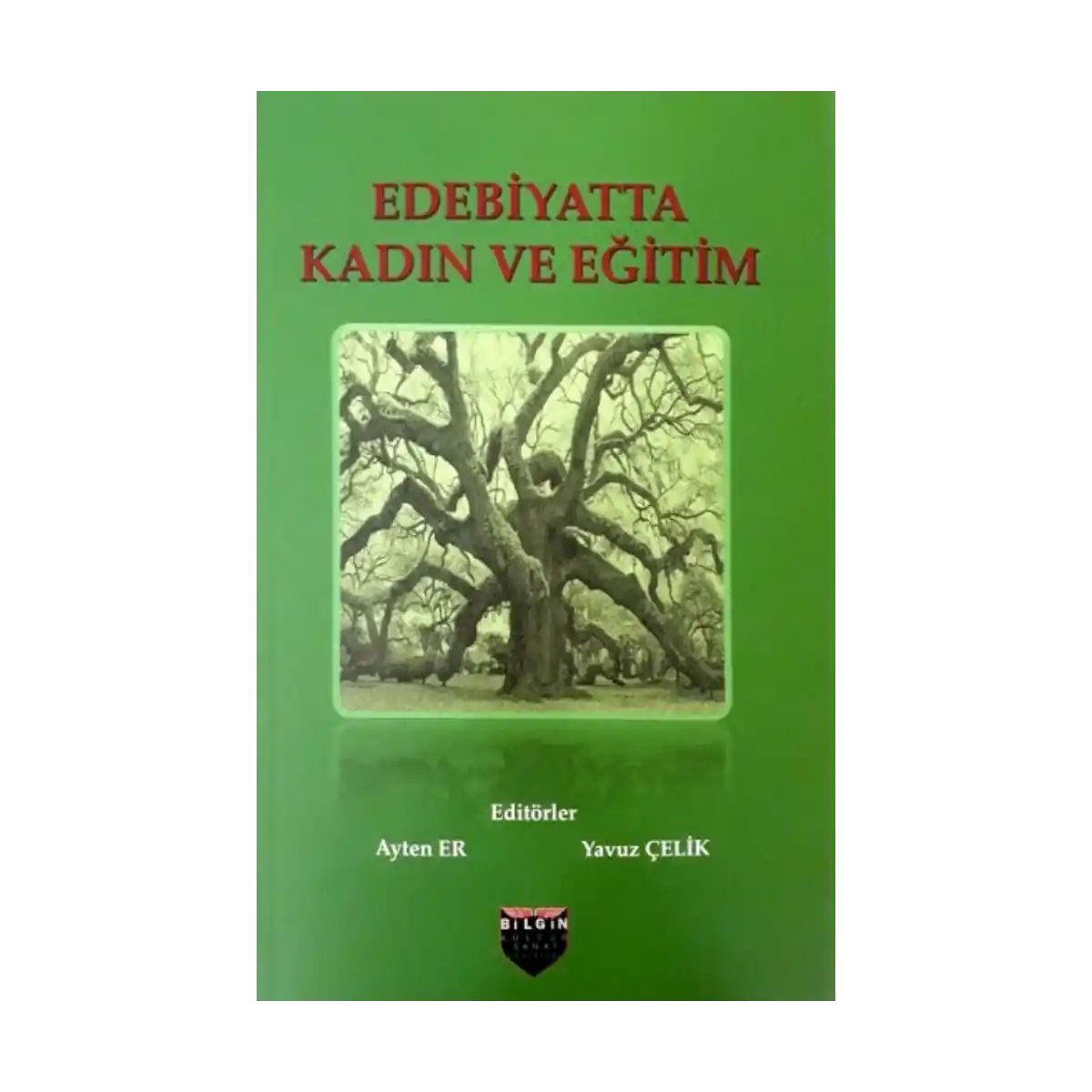 c09bd-edebiyatta-kadin-ve-egitim-1-1.webp Edebiyatta Kadın ve Eğitim - Görsel 1