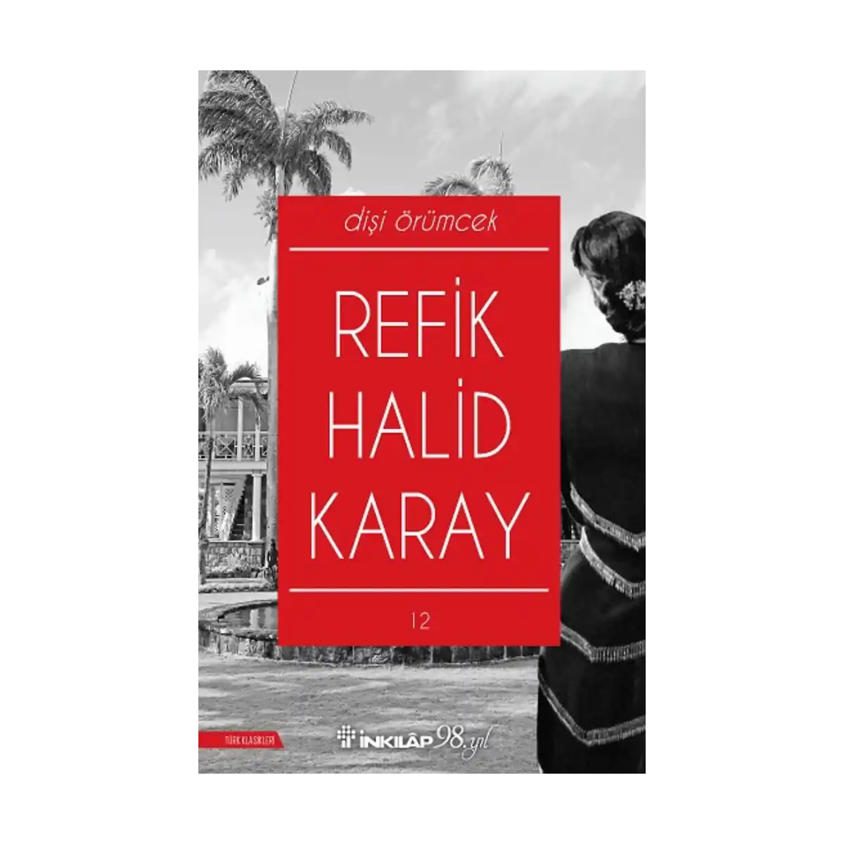 c1b01-disi-orumcek-1-1.webp Dişi Örümcek - Görsel 1