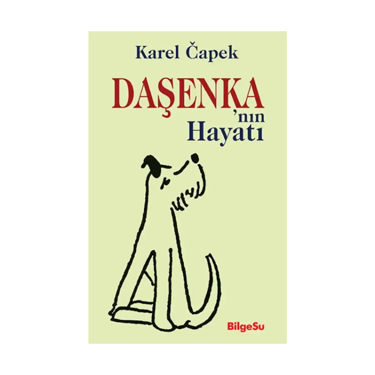 c2a29-dasenka-nin-hayati-1-1.webp Daşenka'nın Hayatı - Görsel 1