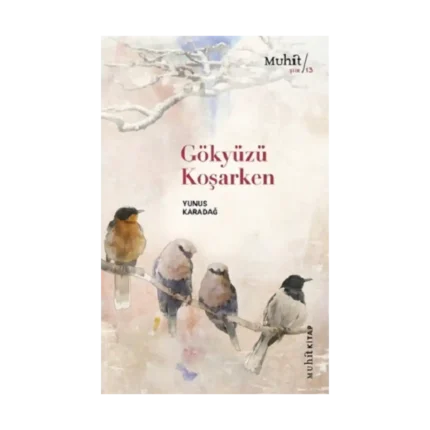 Gökyüzü Koşarken