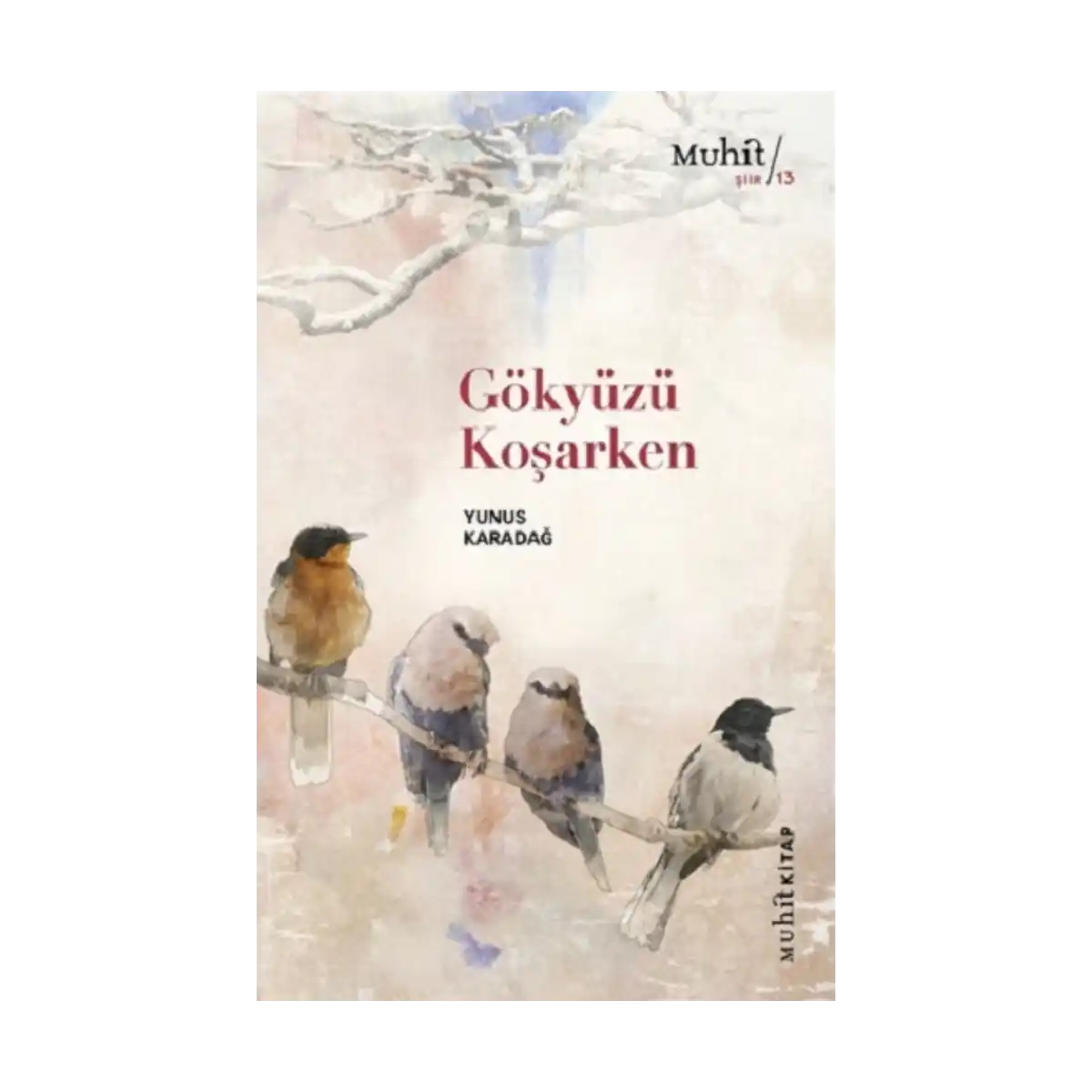 c314c-gokyuzu-kosarken-1-1.webp Gökyüzü Koşarken - Görsel 1