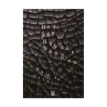 Her şey Hiçbir Şeyden