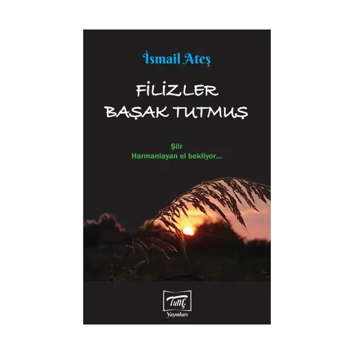d126f-filizler-basak-tutmus-1-1.webp Filizler Başak Tutmuş - Görsel 1