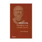 Phaidros ya da Güzellik Üzerine