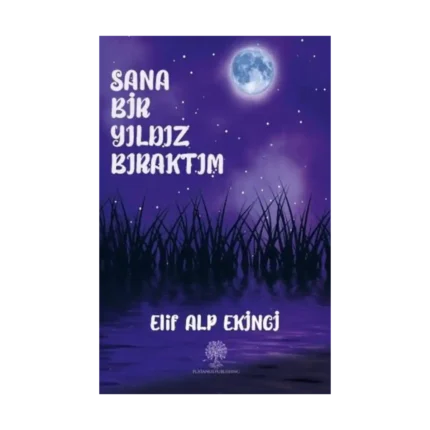 Sana Bir Yıldız Bıraktım