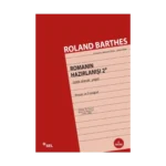 Romanın Hazırlanışı 2 İstek Olarak Yapıt