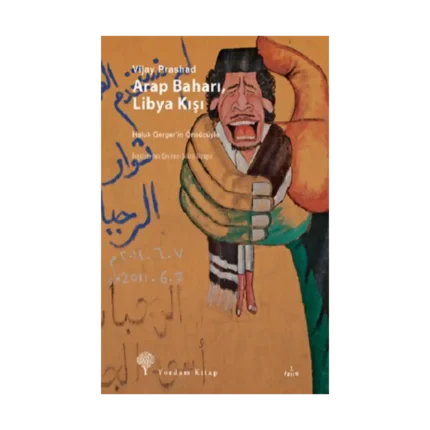 Arap Baharı, Libya Kışı