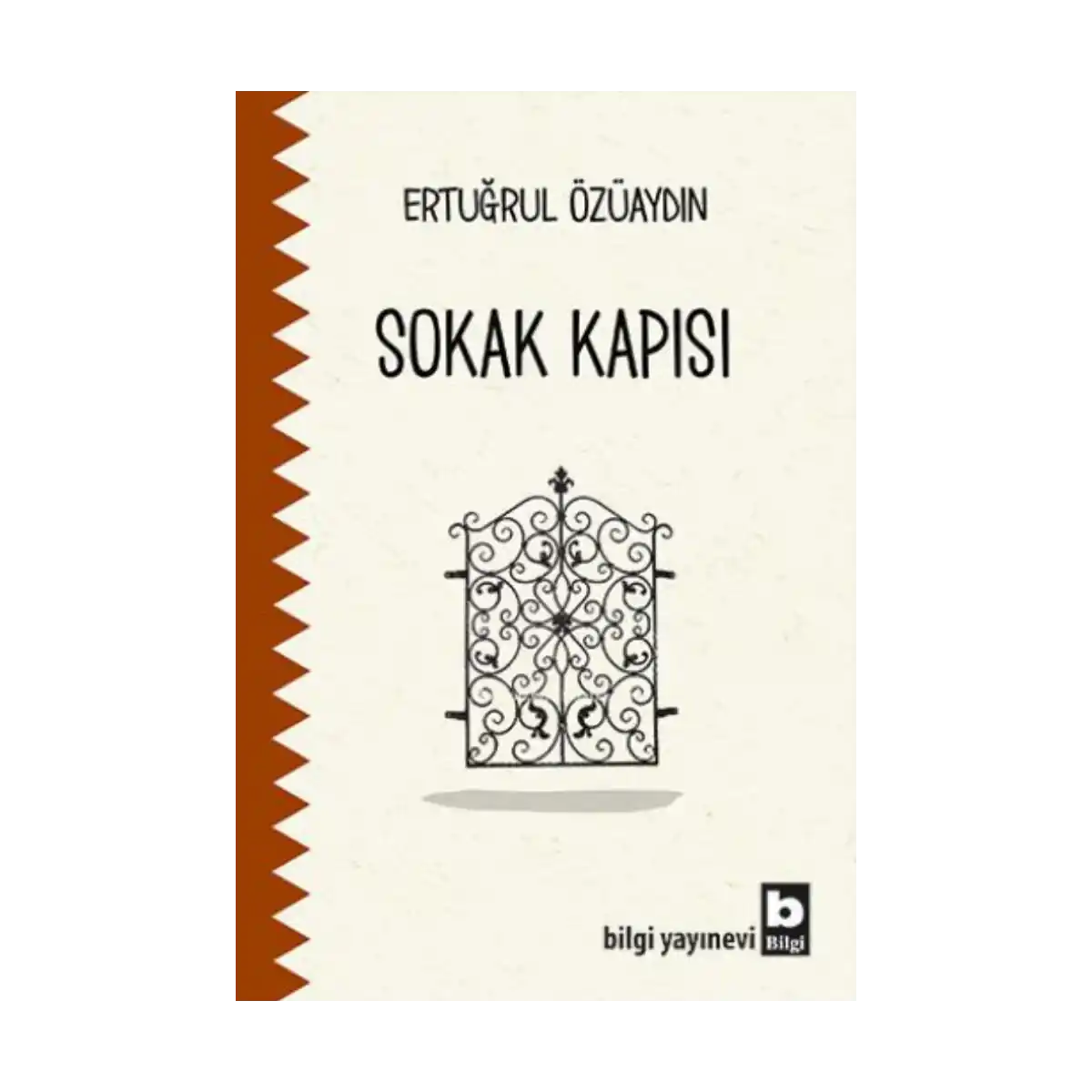 d3675-sokak-kapisi-1-1.webp Sokak Kapısı - Görsel 1