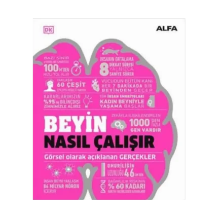 Beyin Nasıl Çalışır (Ciltli)