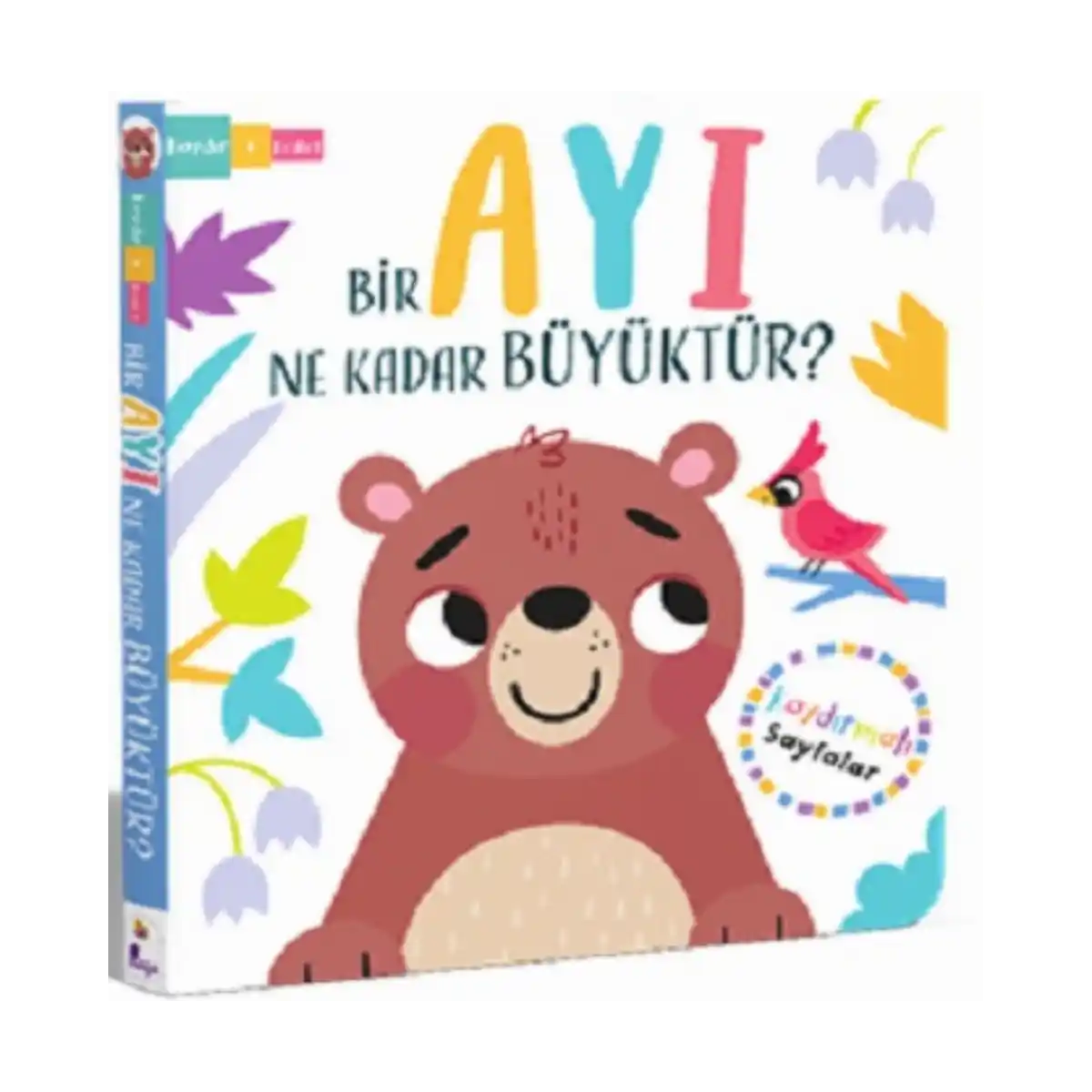 d38ae-bir-ayi-ne-kadar-buyuktur-kaydir-plus-kesfet-ciltli-1-1.webp Bir Ayı Ne Kadar Büyüktür? – Kaydır + Keşfet (Ciltli) - Görsel 1