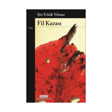 Fil Kazası