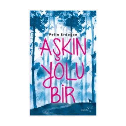 Aşkın Yolu Bir