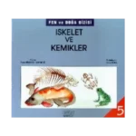 İskelet ve Kemikler