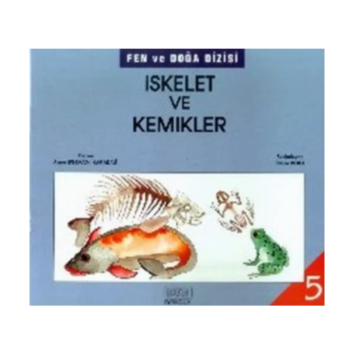 d490c-iskelet-ve-kemikler-1-1.webp İskelet ve Kemikler - Görsel 1