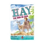 Hay Issız Adada Bir Çocuk