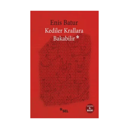 Kediler Krallara Bakabilir