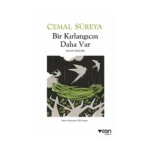 Bir Kırlangıcın Daha Var