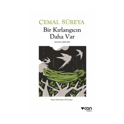 Bir Kırlangıcın Daha Var