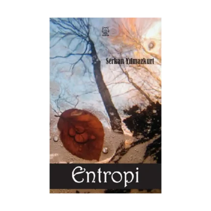 Entropi