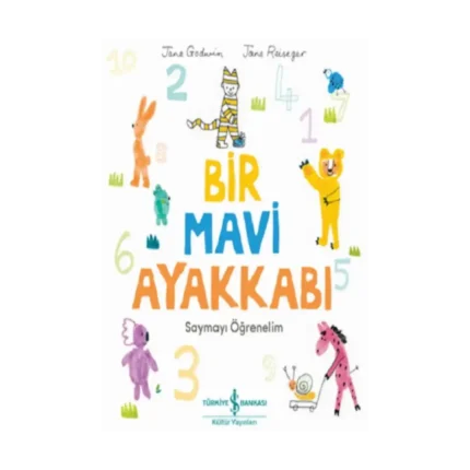 Bir Mavi Ayakkabı