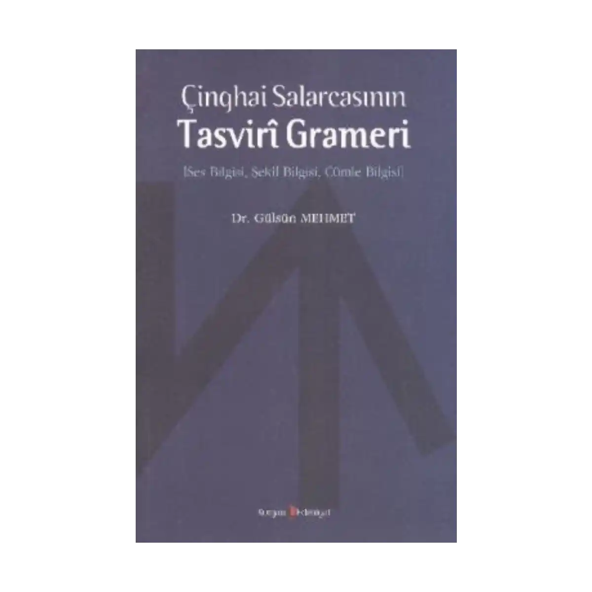 dbee4-cinghai-salarcasinintasviri-grameri-1-1.webp Çinghai SalarcasınınTasviri Grameri - Görsel 1