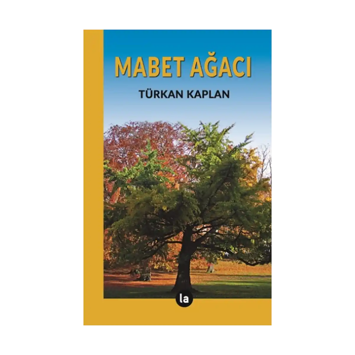 dc5a6-mabet-agaci-1-1.webp Mabet Ağacı - Görsel 1