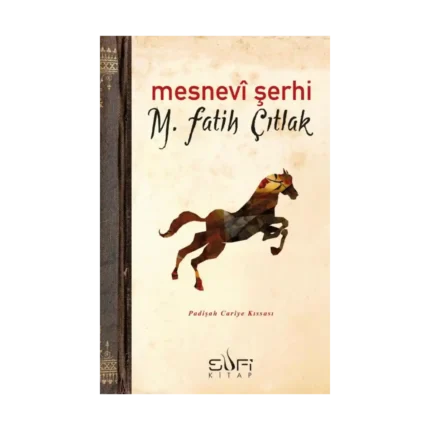 Mesnevi Şerhi