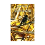 Serçe Çığlığı