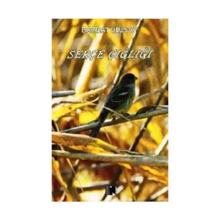 Serçe Çığlığı