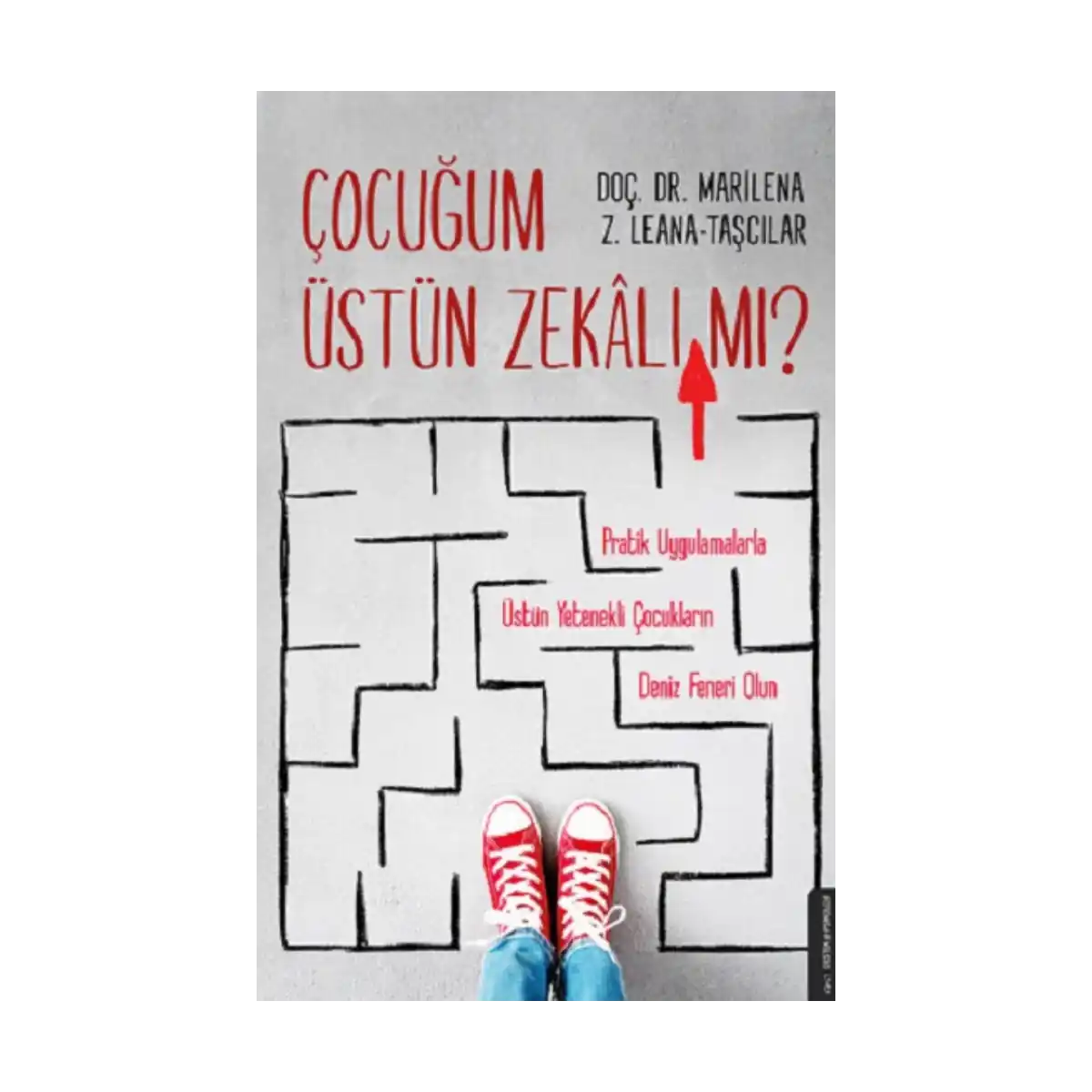 dd5ba-cocugum-ustun-zekali-mi-1-1.webp Çocuğum Üstün Zekalı mı? - Görsel 1