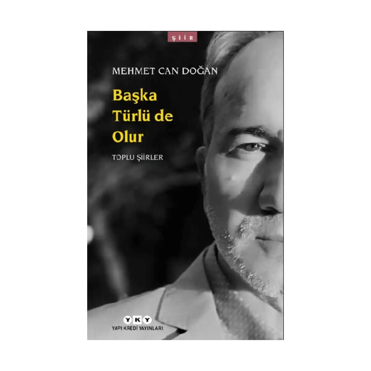 dd711-baska-turlu-de-olur-toplu-siirler-1-1.webp Başka Türlü de Olur - Toplu Şiirler - Görsel 1