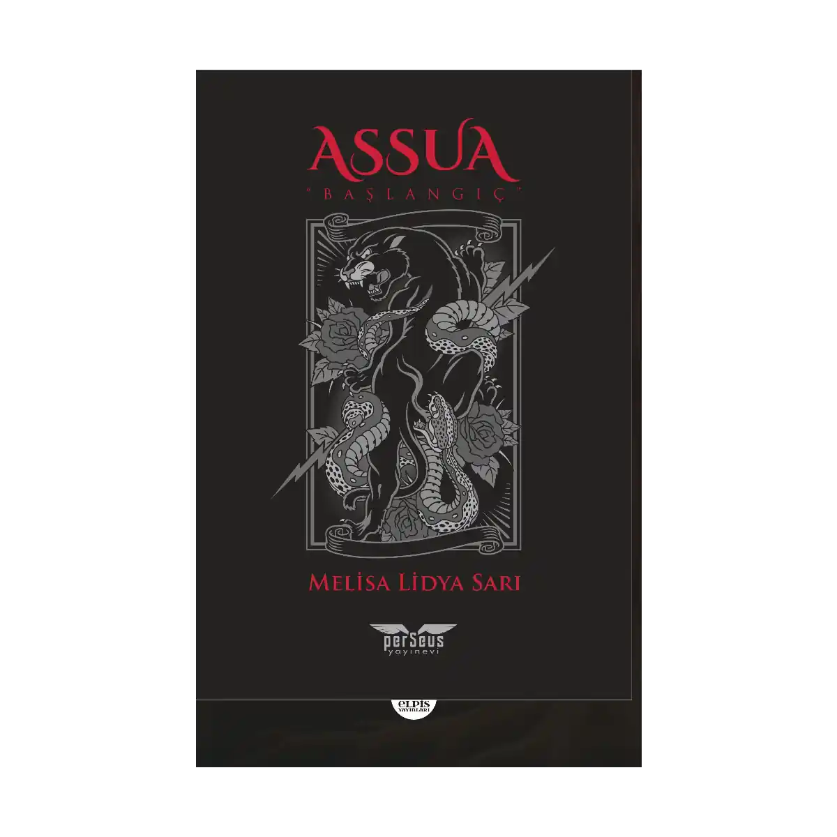 e0da6-assua-1-1.webp Assua - Görsel 1