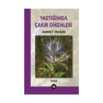 Yastığımda Çakır Dikenleri